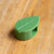 Leaf Shaped Plant And Cable Clips (10 Pack)