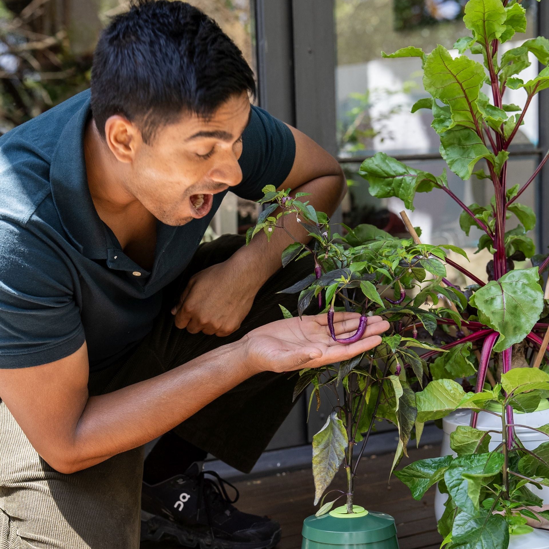 Heirloom Planter | Passive hydroponic aluminium kratky pot - gathera
