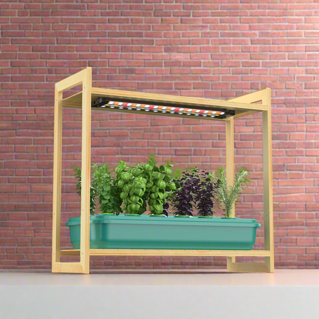 plant-shelf-with-grow-lights-Sun-shelf-3-with-2-basin-set-for-herbs-and-leafy-greens-and-two-layers-of-indoor-plants