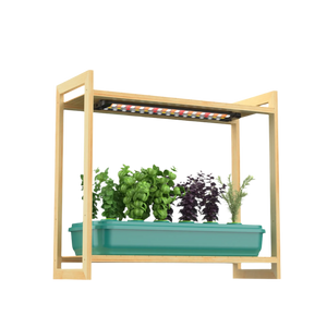 plant-shelf-with-grow-lights-Sun-shelf-3-mini-with-one-layer-of-herbs-and-leafy-greens