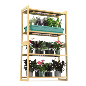 plant-shelf-with-grow-lights-Sun-shelf-3-with-2-basin-set-for-herbs-and-leafy-greens-and-two-layers-of-indoor-plants