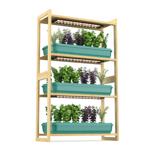 plant-shelf-with-grow-lights-Sun-shelf-3-with-3-basin-sets-for-herbs-and-leafy-greens