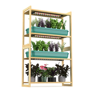 plant-shelf-with-grow-lights-Sun-shelf-3-with-one-layer-of-indoor-plants-and-two-layers-of-herbs-and-leafy-greens