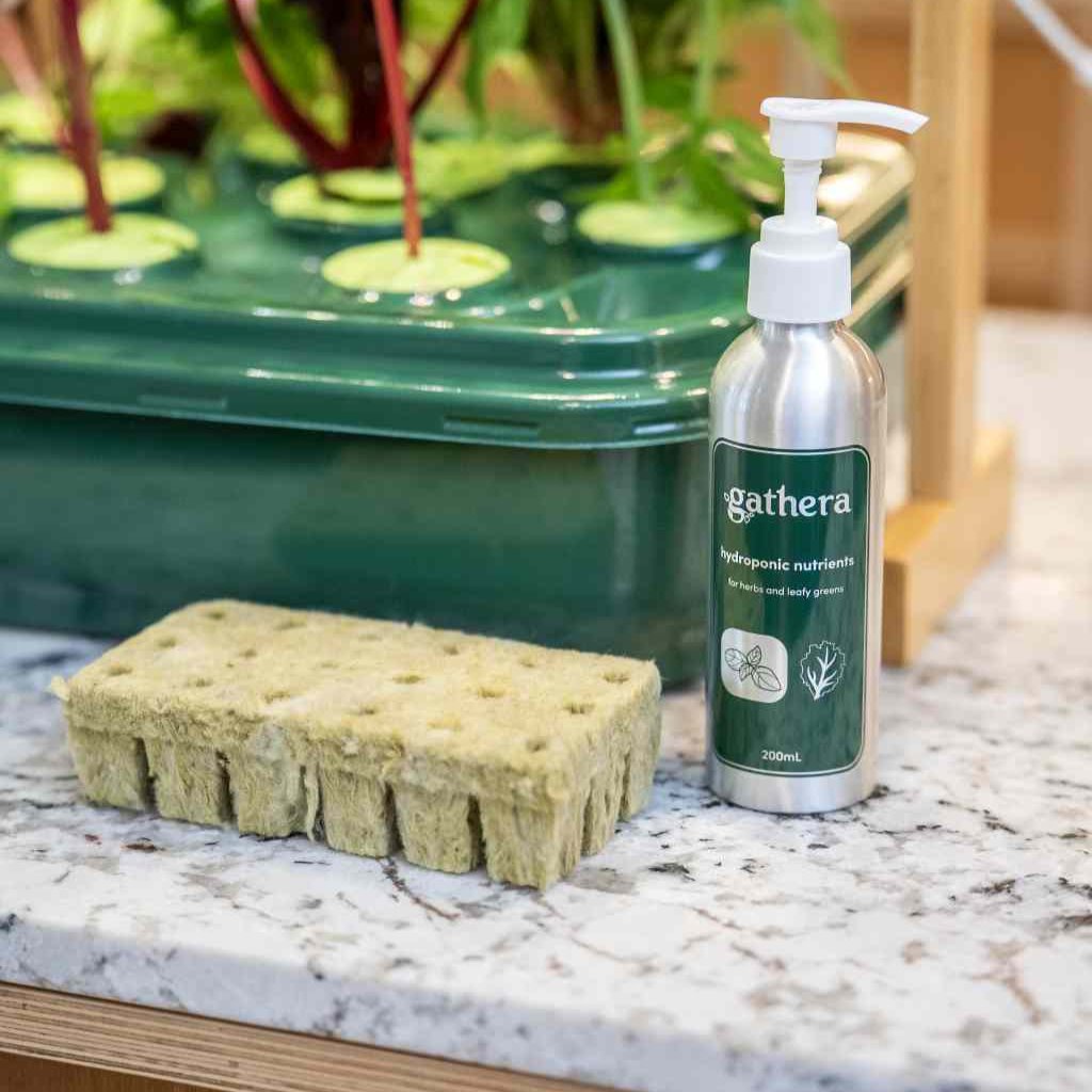 hydroponic rockwool propagation cubes