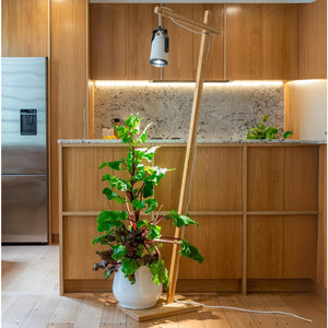 sun bulb with bamboo floor stand on hydroponic heirloom planter