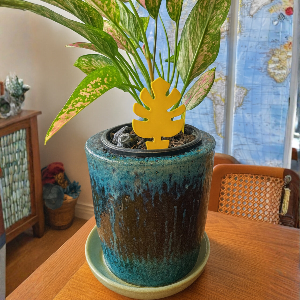 Plant Insect Sticky Traps - 12per pack