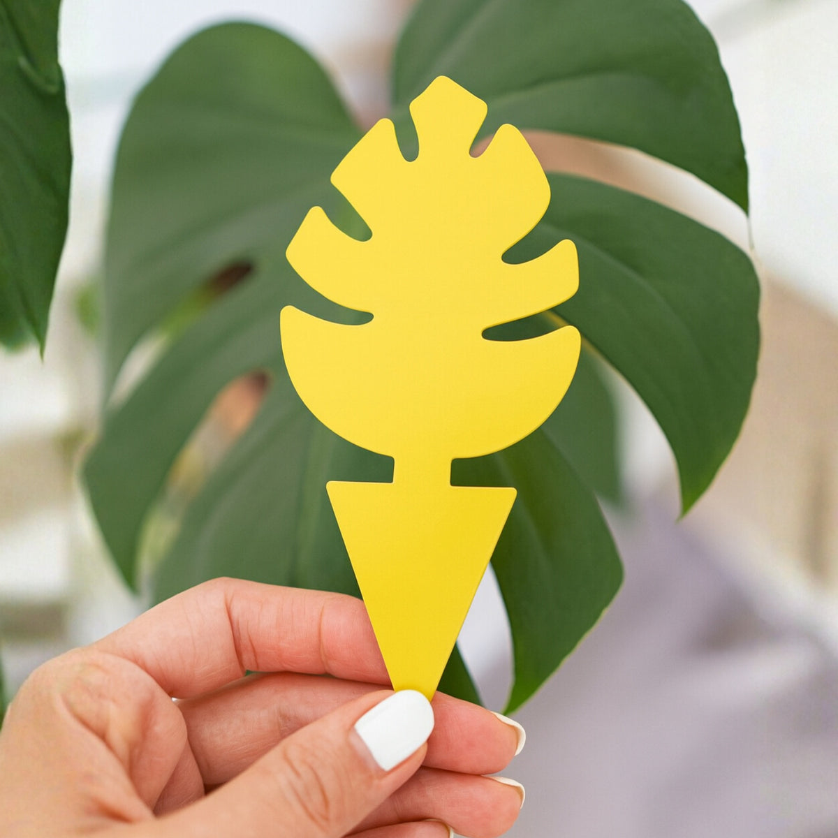 Plant Insect Sticky Traps - 12per pack