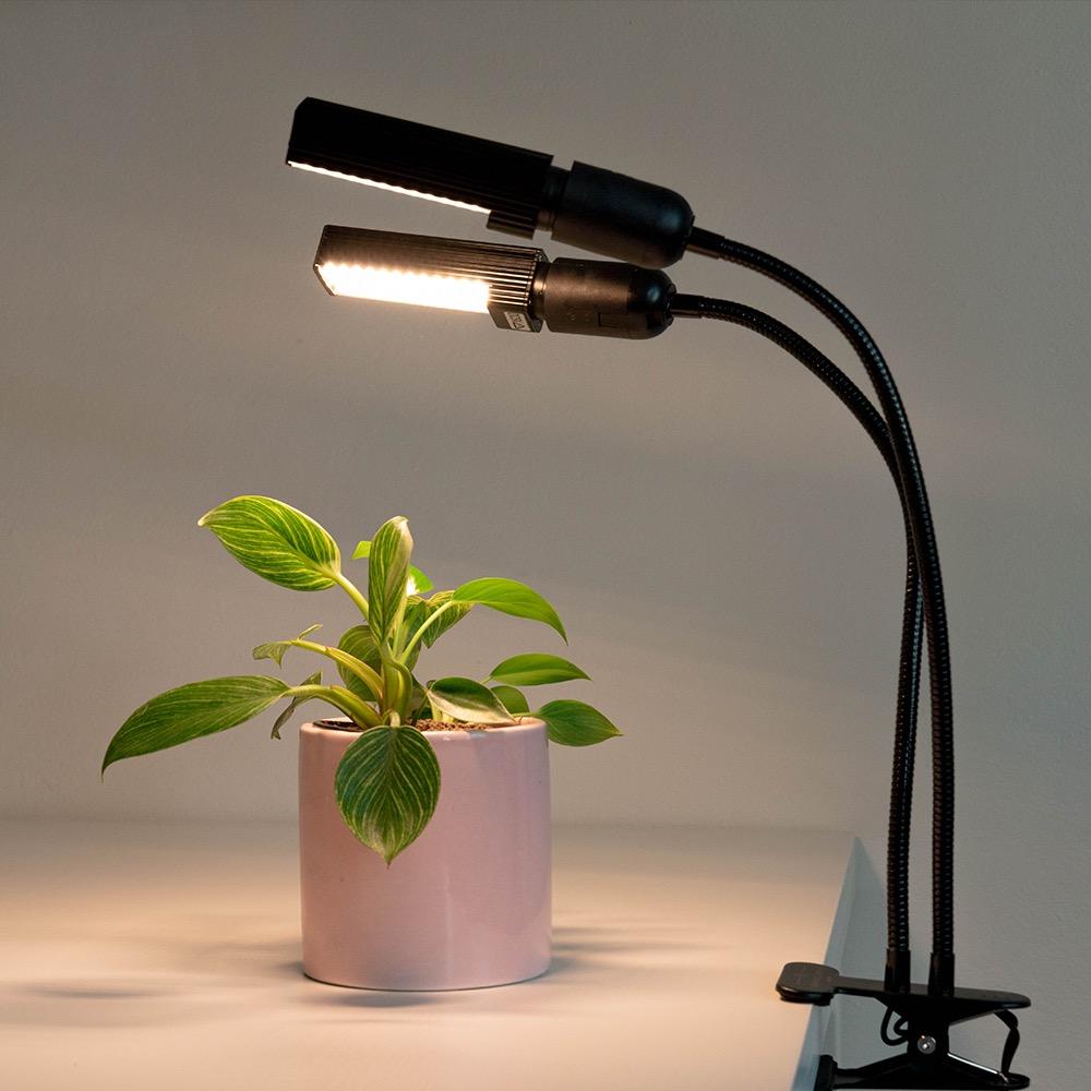 Dimmable grow store light