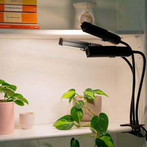 Urban Plant Growers LED Grow Light hydroponic warm white full spectrum light 3 heads black metal lighting up indoor pot plants on bookshelves