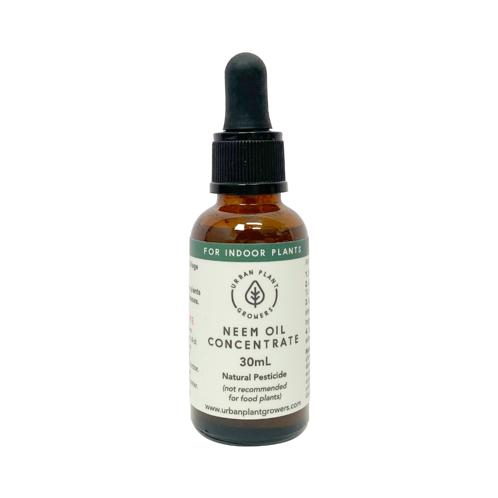 Neem Oil gathera