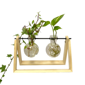 gathera Dual A-Frame Propagation Station with plants