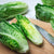 Cos Lettuce Seeds-Seeds-Urban Plant Growers-