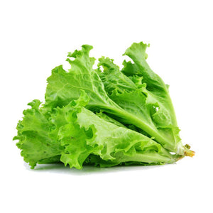 Cos Lettuce Seeds-Seeds-Urban Plant Growers-