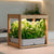 indoor garden EcoKitchen Smart Garden-Home Garden-urbanplantgrowers.com-