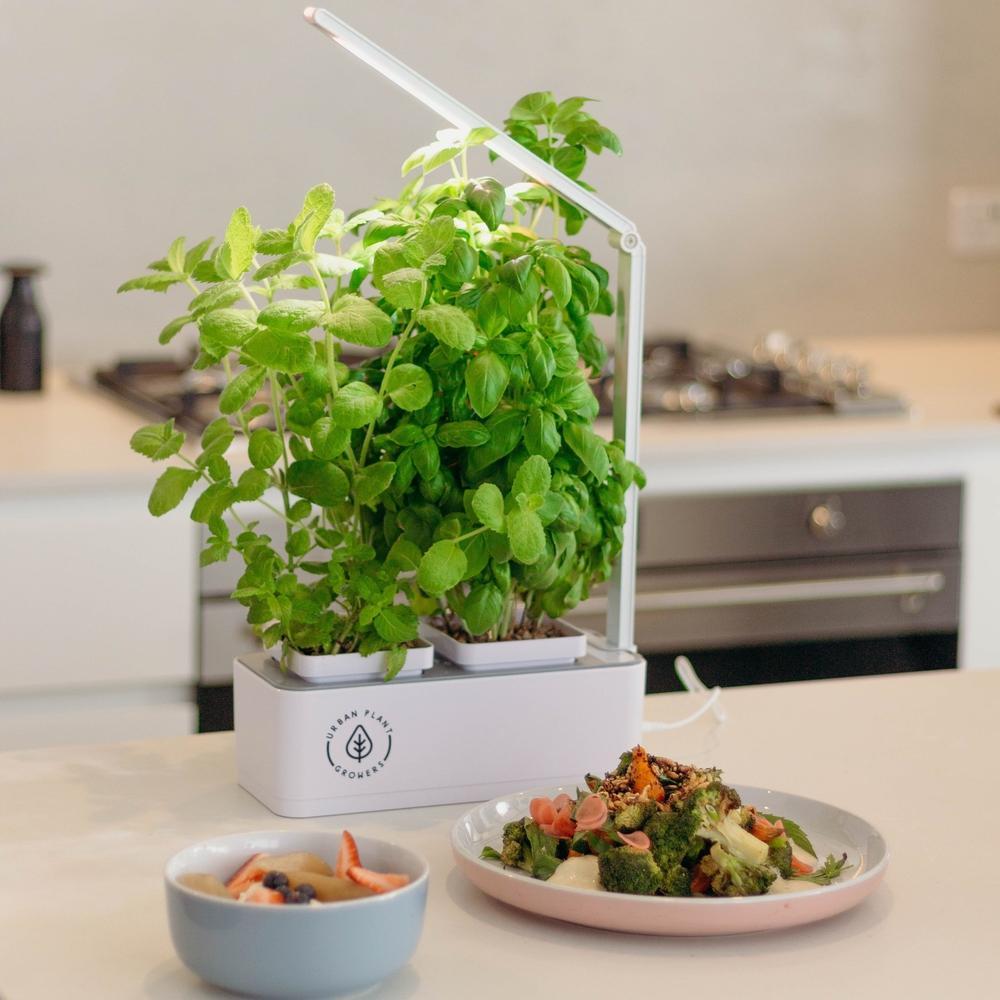 Indoor Smart Garden Combo | DIY Grow Kit - gathera