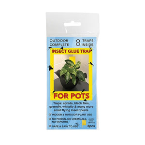 insect glue trap for pots - 8 pack