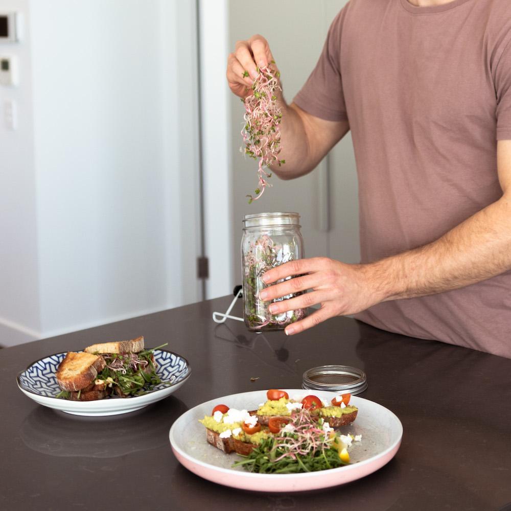 Speedy Sprouters | Beginner friendly sprout jar