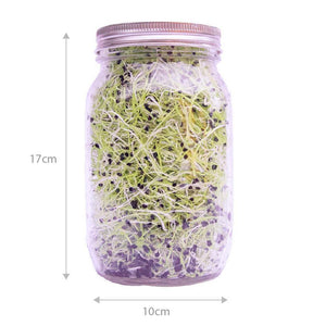Speedy Sprouter Jars-Urban Plant Growers-1 Jar-